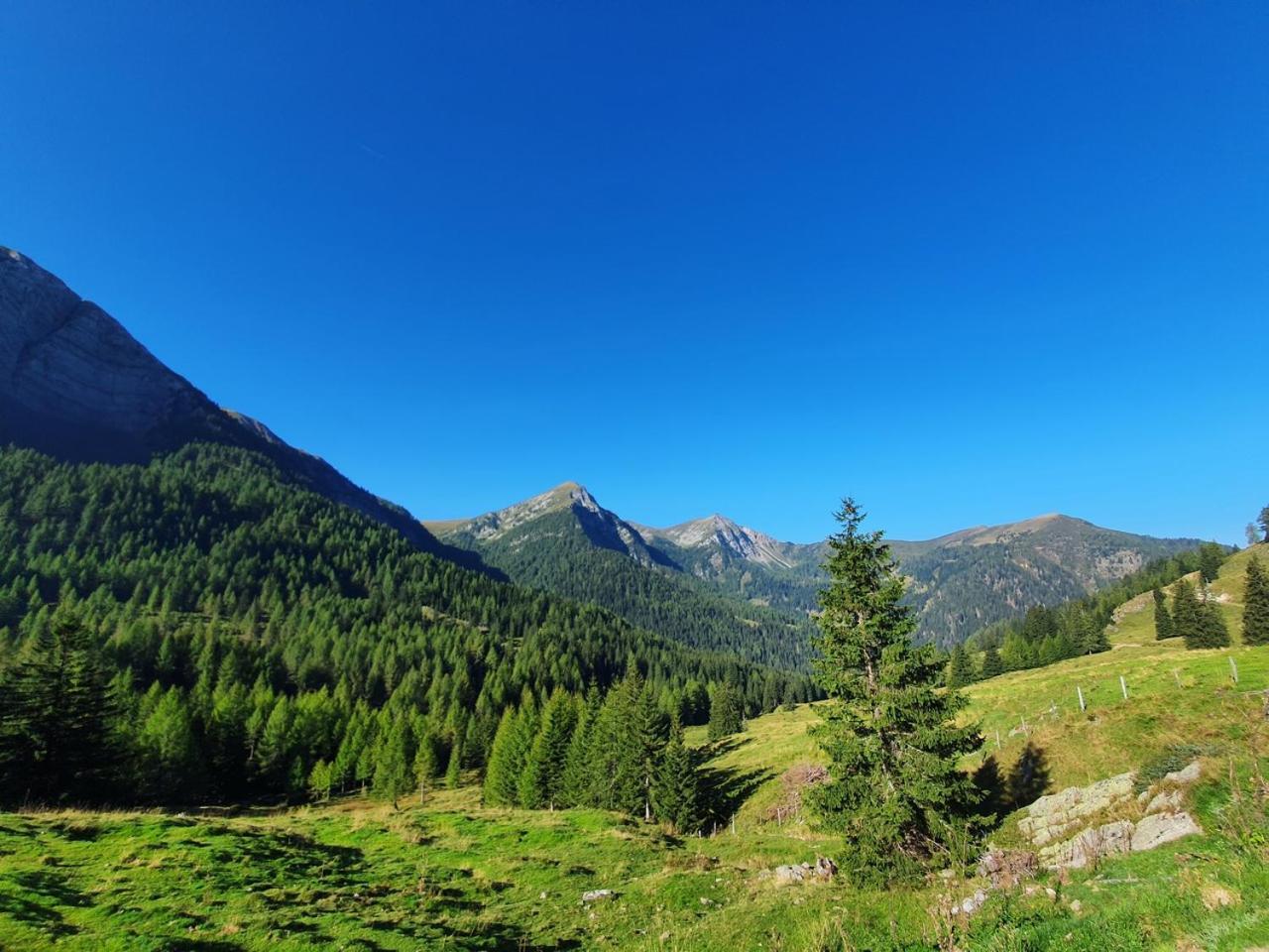 Haus Kraller-Urlaub Mit Seeblick Мильстат Экстерьер фото